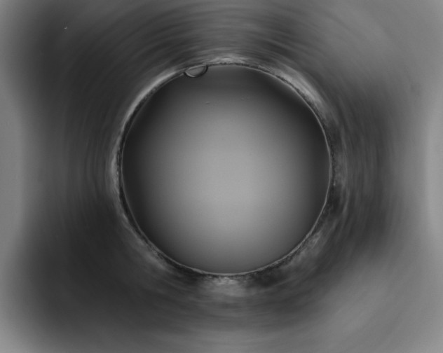 X0000092320806200709211328