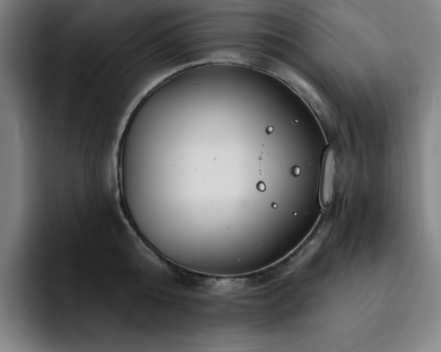 X0000092320808200709211328