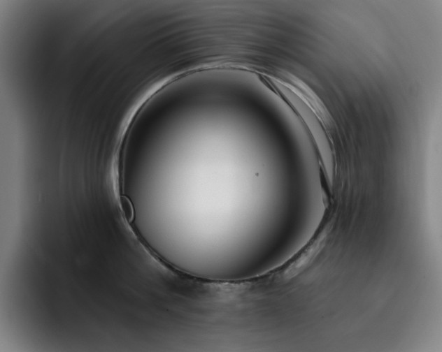 X0000092320812200709211328