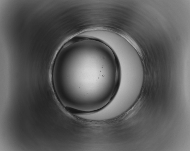 X0000092320813200709211328