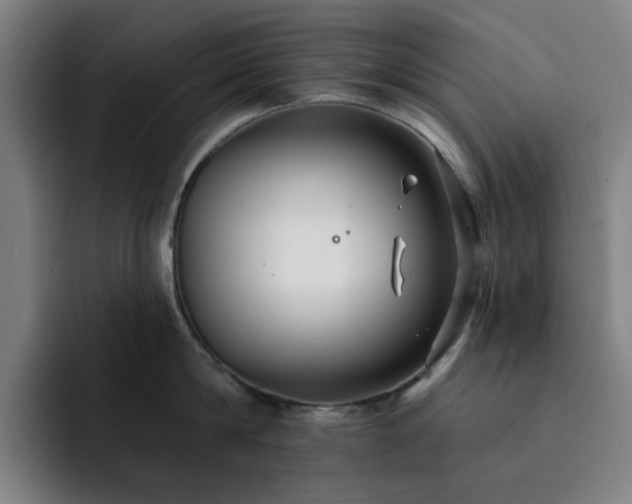X0000092320814200709211328
