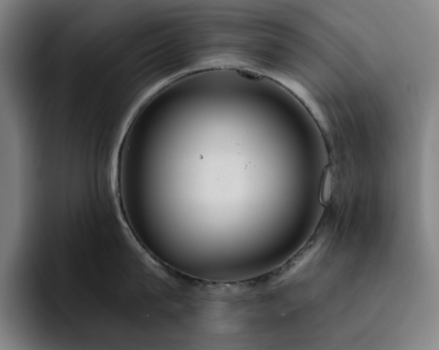 X0000092320815200709211328