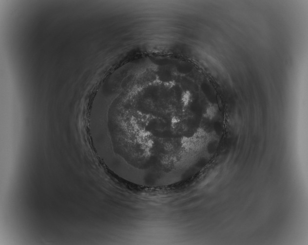 X0000092320817200709211328