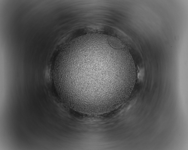 X0000092320819200709211328