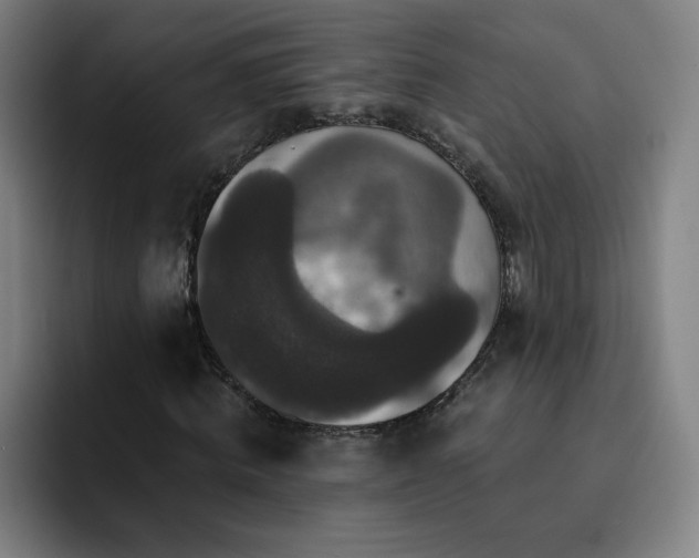 X0000092320820200709211328