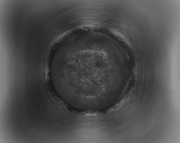 X0000092320822200709211328
