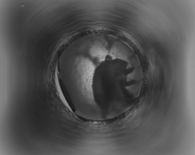 X0000092320823200709211328