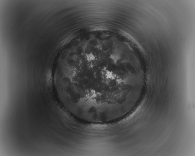 X0000092320825200709211328