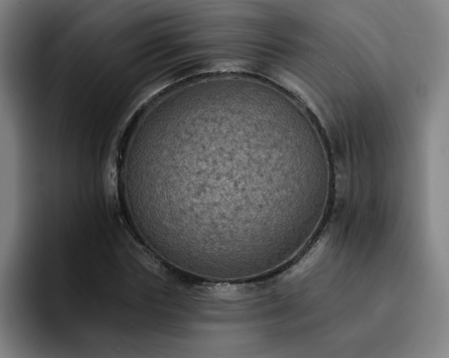 X0000092320827200709211328