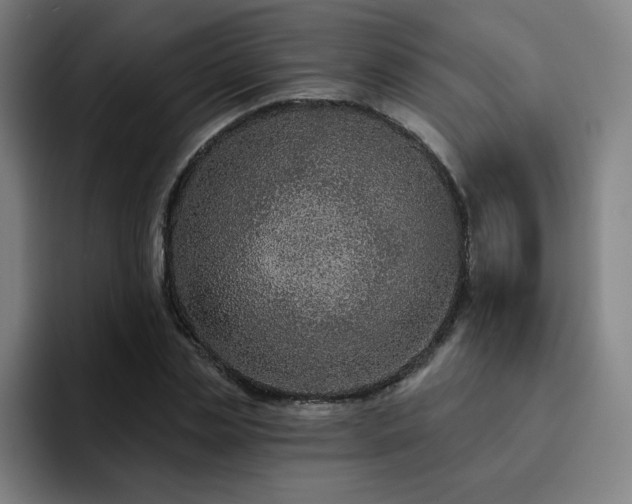 X0000092320829200709211328