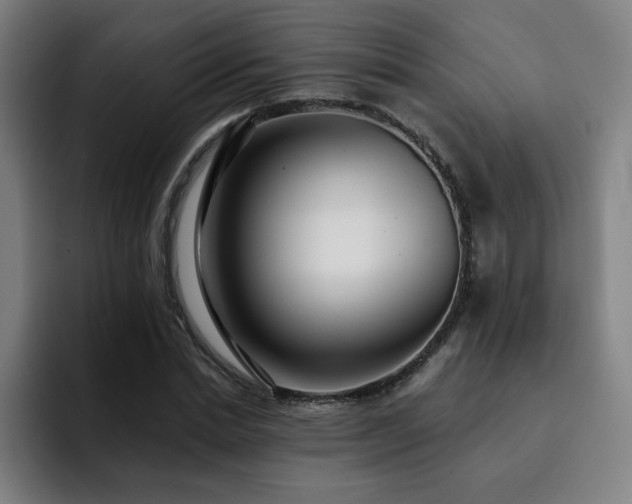 X0000092320830200709211328