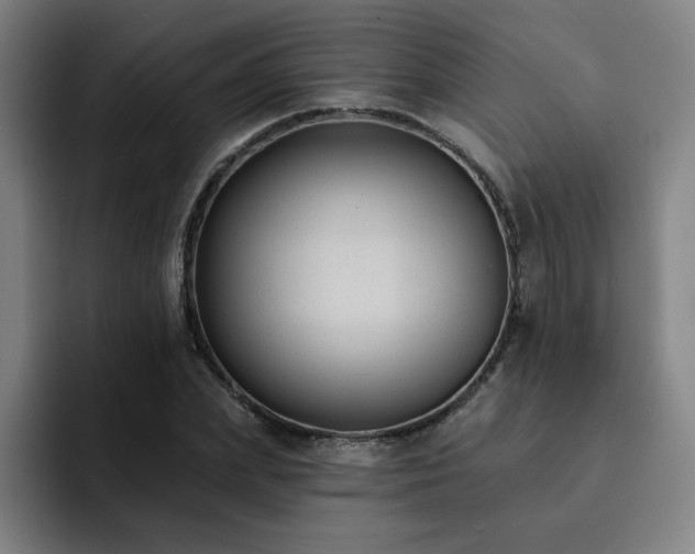 X0000092320831200709211328