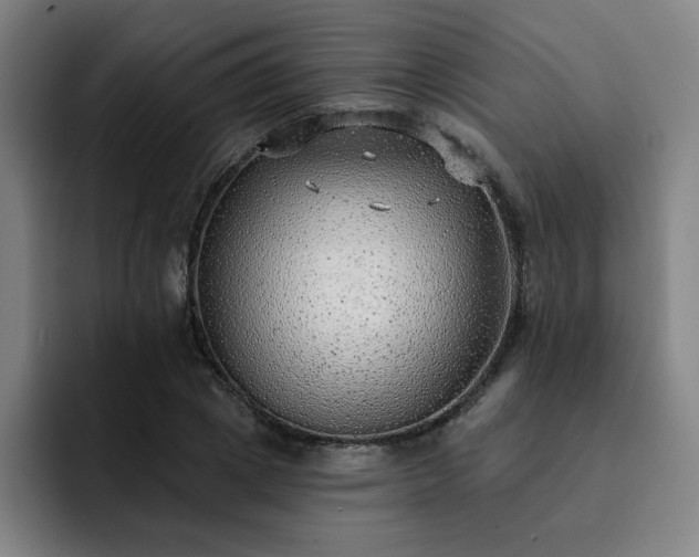 X0000092320833200709211328