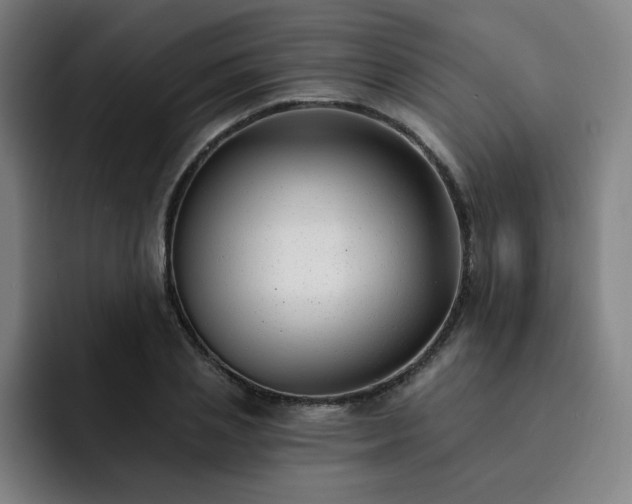 X0000092320837200709211328