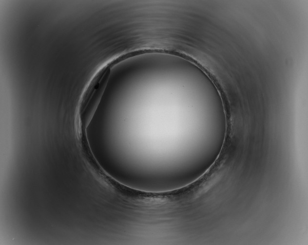 X0000092320838200709211328