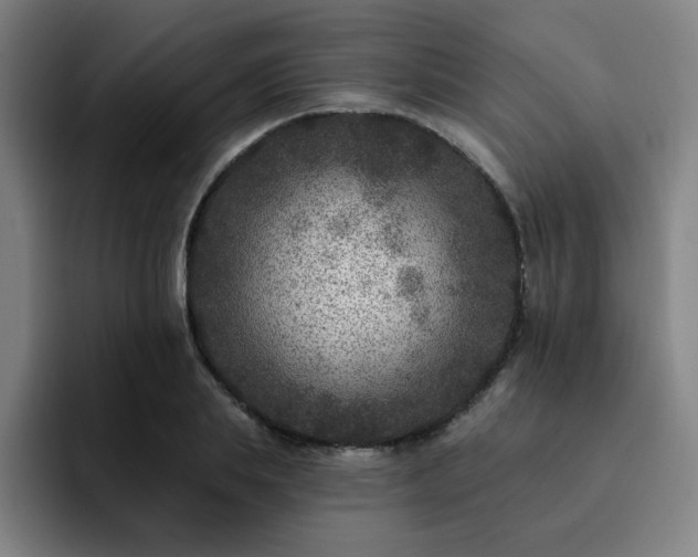 X0000092320839200709211328
