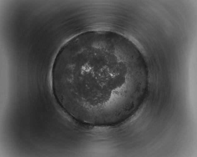 X0000092320840200709211328