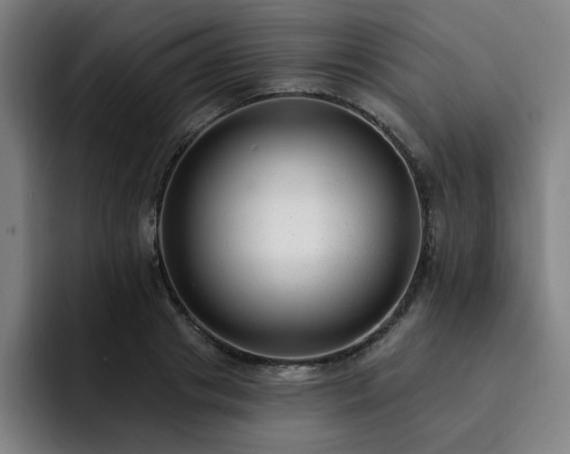 X0000092320841200709211328