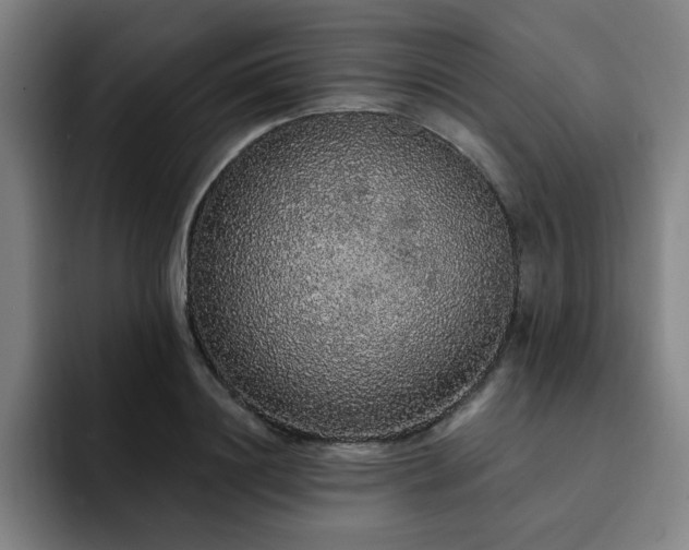 X0000092320844200709211328