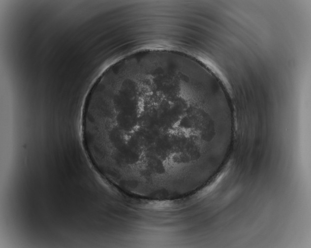 X0000092320845200709211328