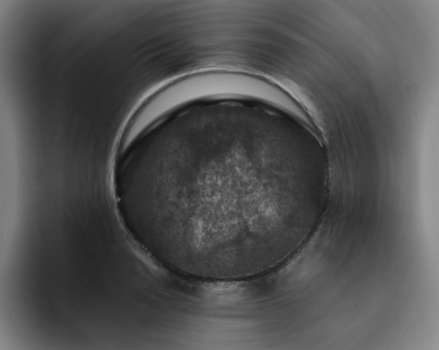 X0000092320846200709211328