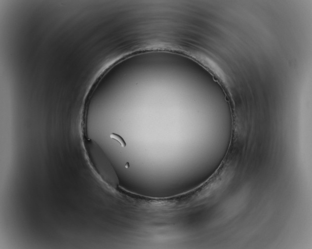 X0000092320847200709211328