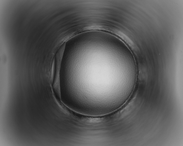 X0000092320849200709211328