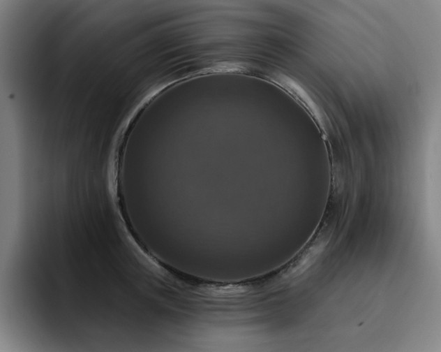 X0000092320851200709211328