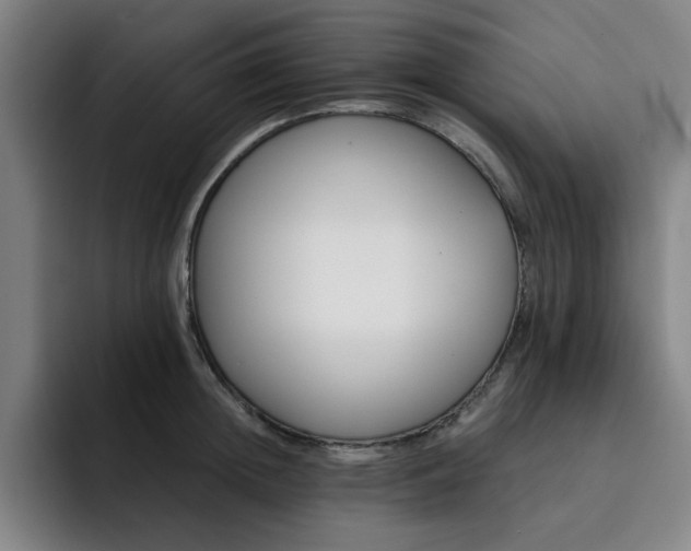 X0000092320852200709211328