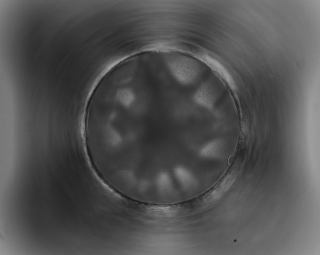 X0000092320855200709211328