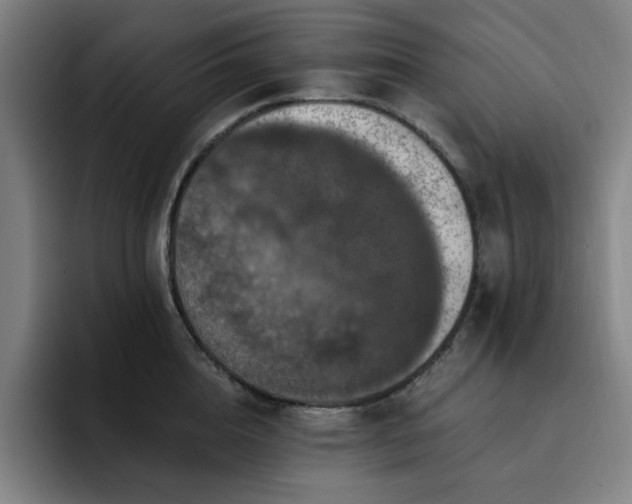 X0000092320856200709211328