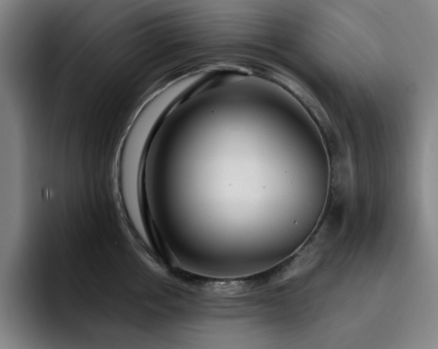 X0000092320858200709211328