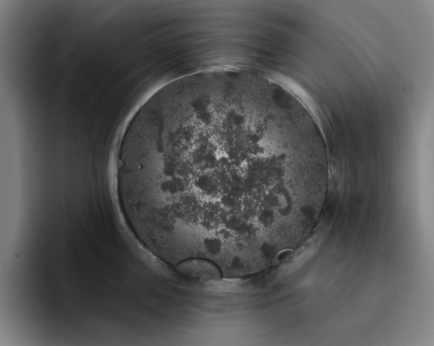 X0000092320859200709211328