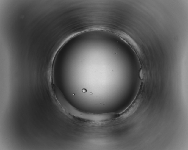 X0000092320860200709211328
