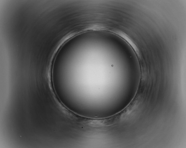 X0000092320861200709211328