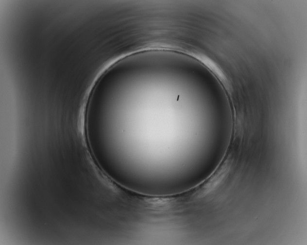 X0000092320862200709211328