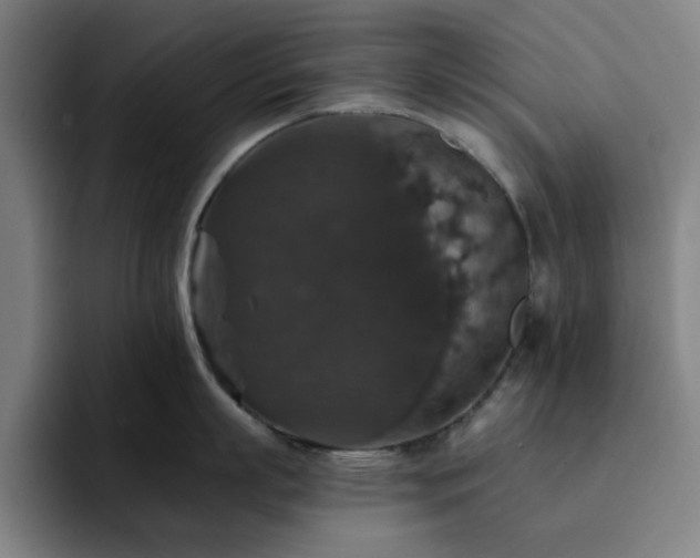 X0000092320863200709211328