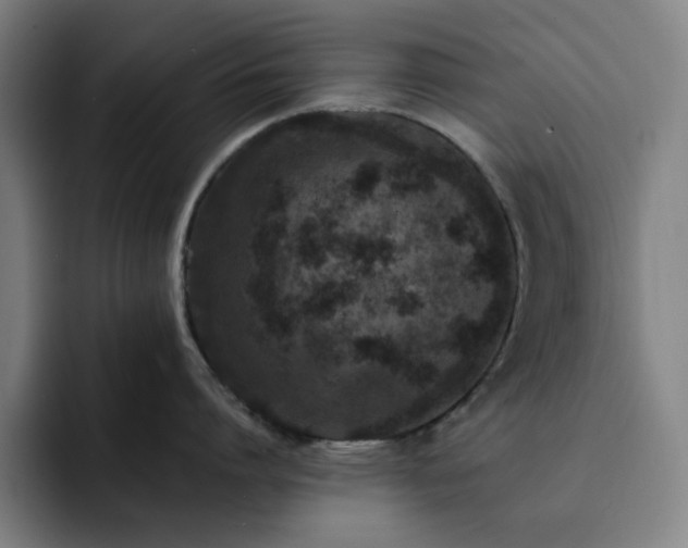 X0000092320864200709211328