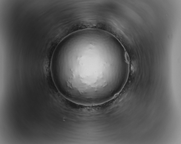 X0000092320867200709211328