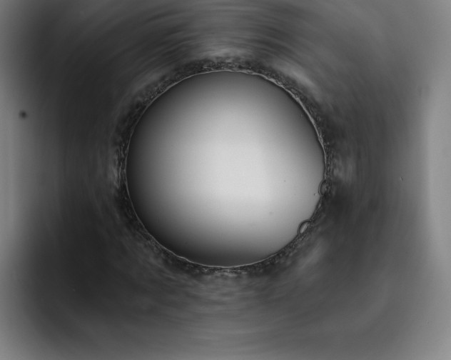 X0000092320869200709211328