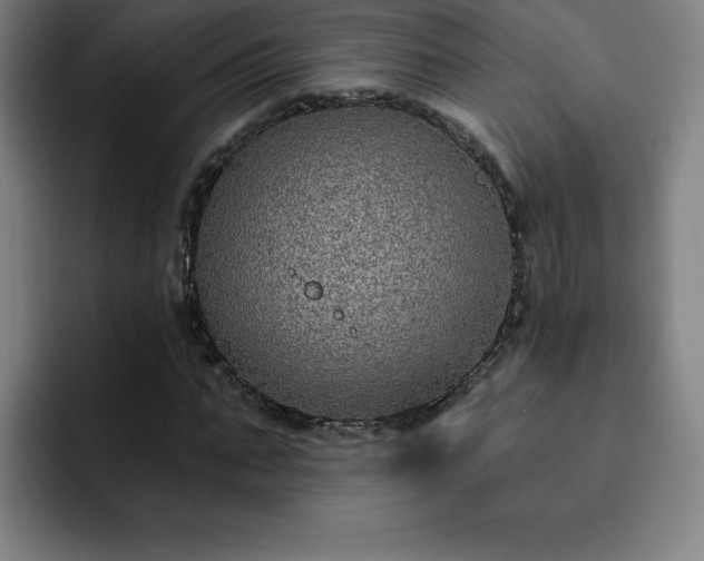 X0000092320871200709211327