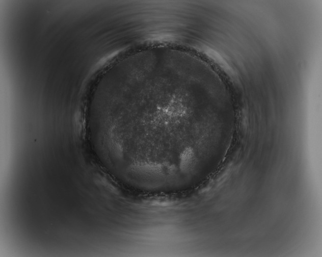 X0000092320872200709211327