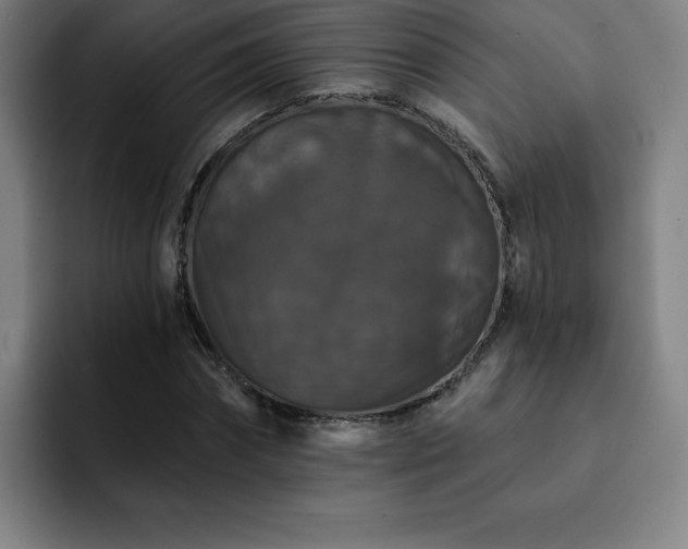 X0000092320874200709211327