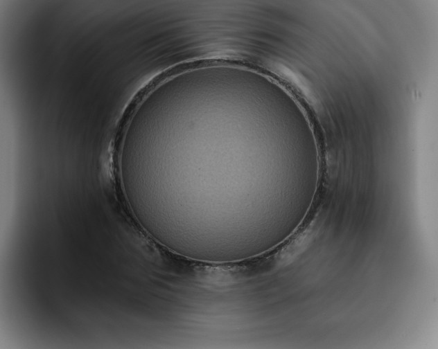 X0000092320875200709211327