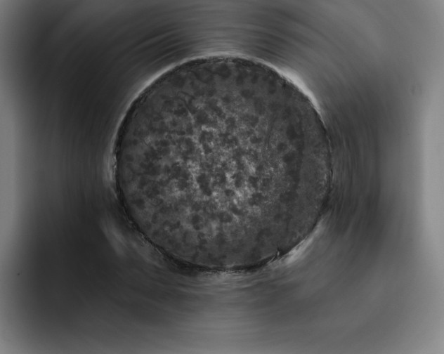 X0000092320879200709211327