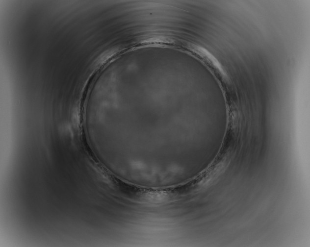X0000092320882200709211327