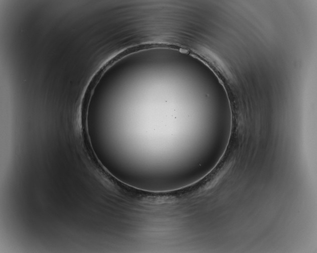 X0000092320884200709211327