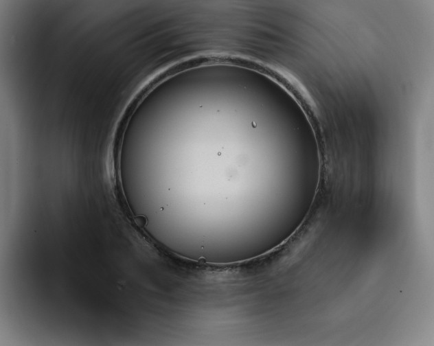 X0000092320887200709211327