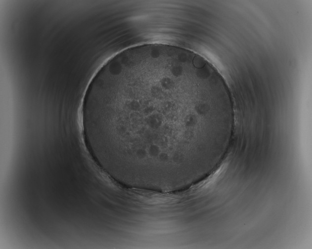 X0000092320891200709211327