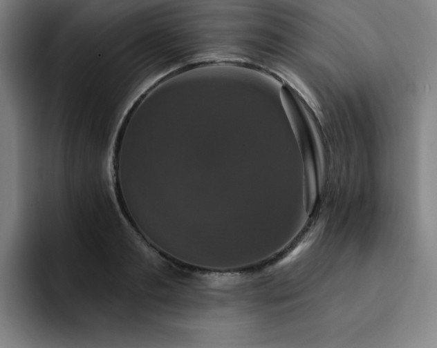 X0000092320893200709211327